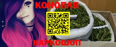 мяу мяу мука Кандалакша