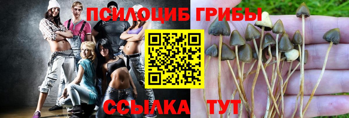 Лсд 25  Марихуана  Малоярославец  ГАШИШ  Вход с VPN  Меф МЯУ МЯУ   КОКАИН 